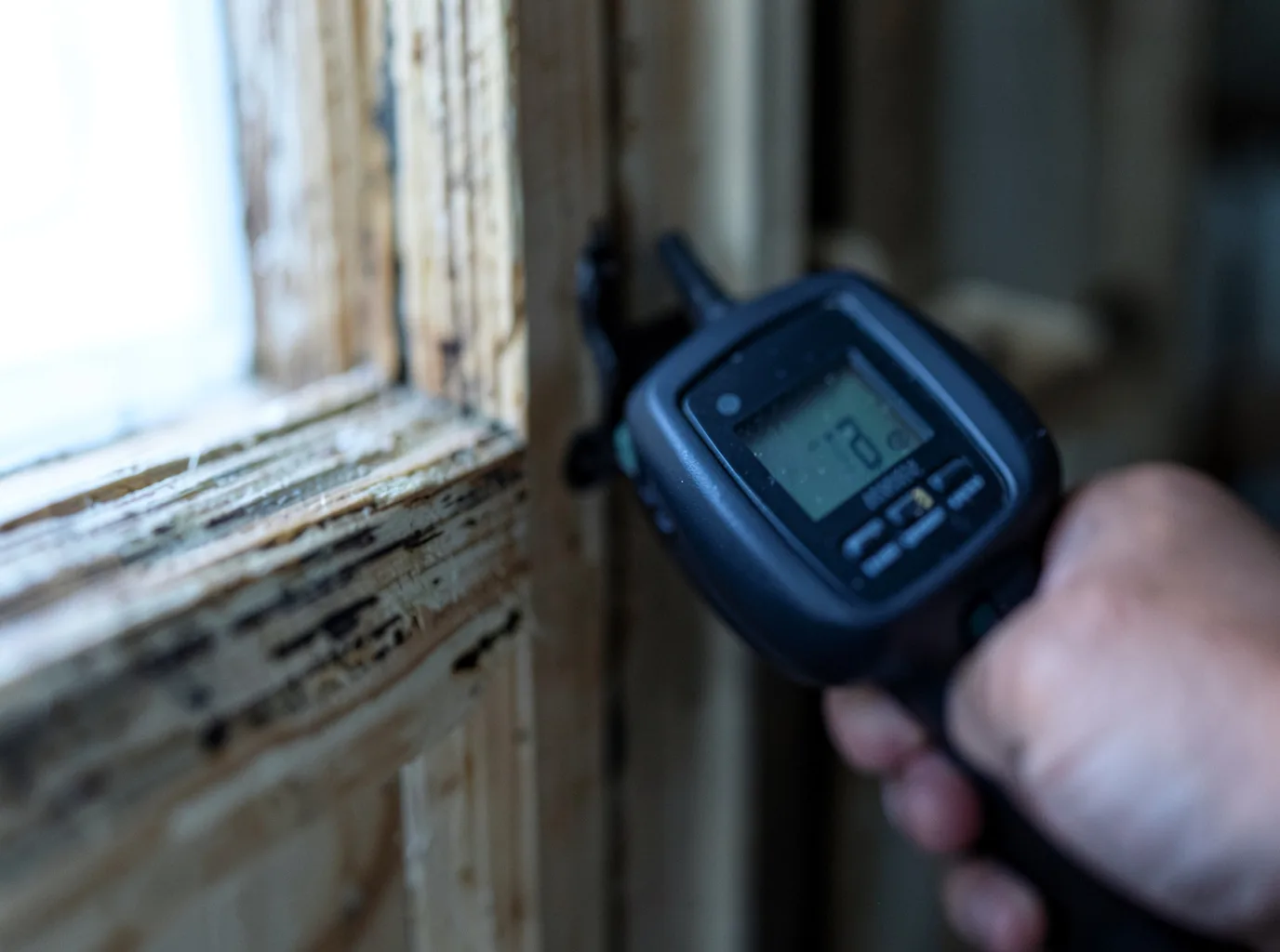 Moisture Inspection And Documentation in Fawnskin, CA